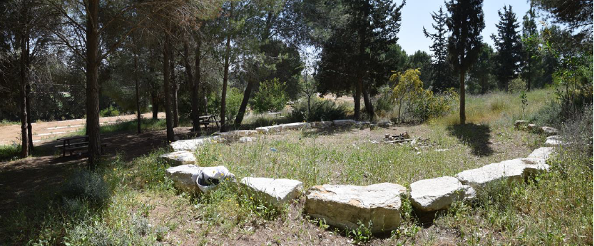 יער גרשון