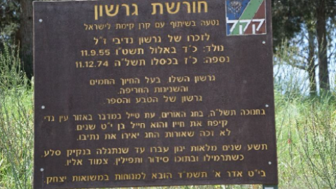 יער גרשון 1.png
