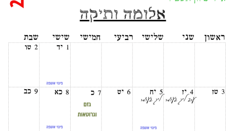 אלומה ותיקה.png