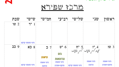 מרכז שפירא.png