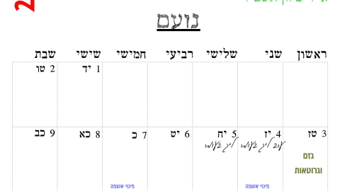 נועם.png