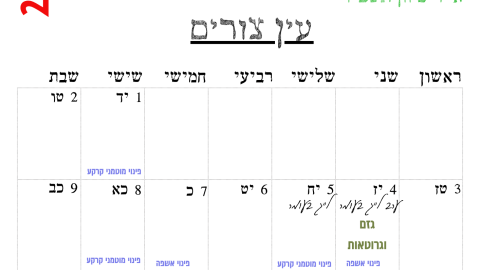 עין צורים.png