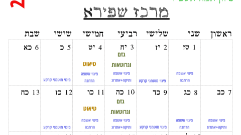 מרכז שפירא.png