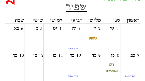 שפיר.png