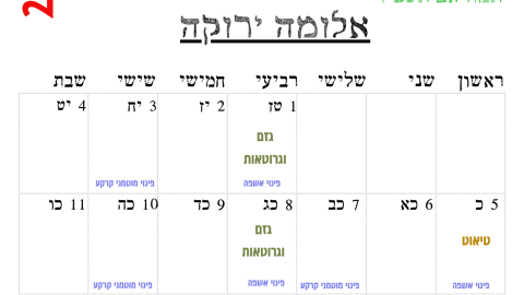 אלומה ירוקה.png