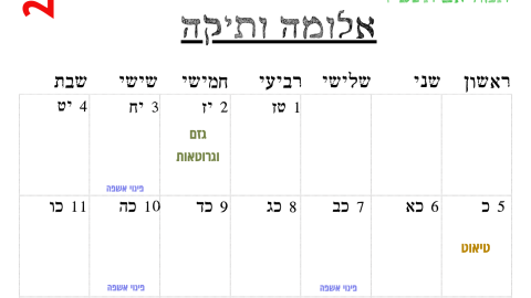 אלומה ותיקה.png