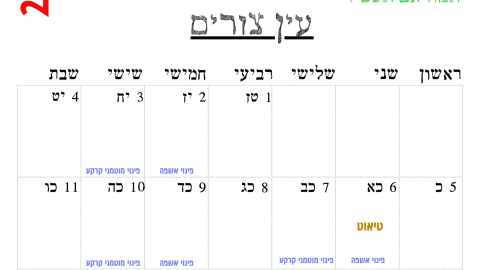 עין צורים.png