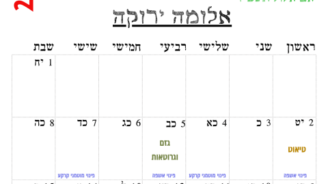 אלומה ירוקה.png