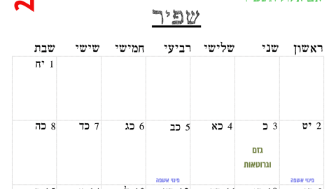 שפיר.png