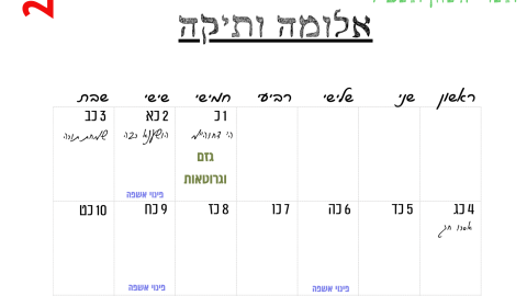 אלומה ותיקה.png
