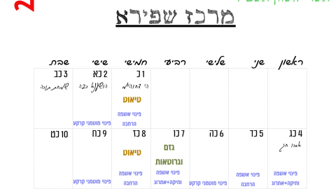 מרכז שפירא.png