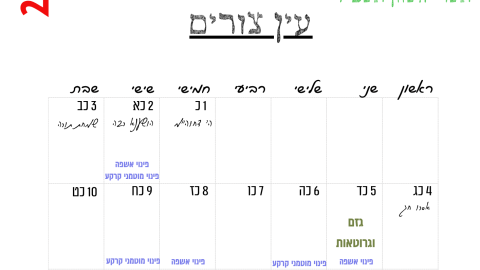 עין צורים.png